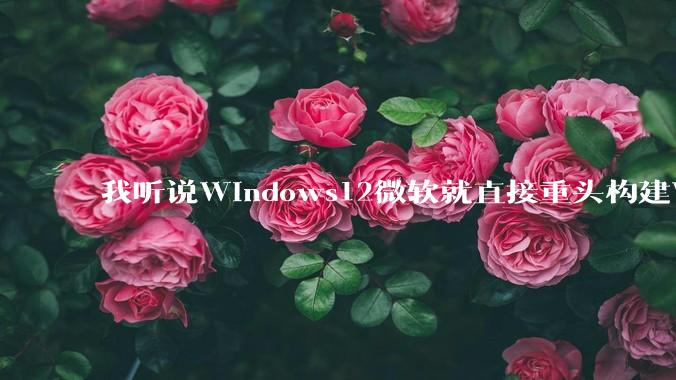 我听说Windows12微软就直接重头构建Windows了，就直接重构Win内核了，到底是不是真的?