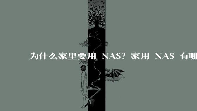 为什么家里要用 NAS？家用 NAS 有哪些实际的、接地气的用途？